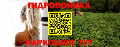a pvp Ирбит